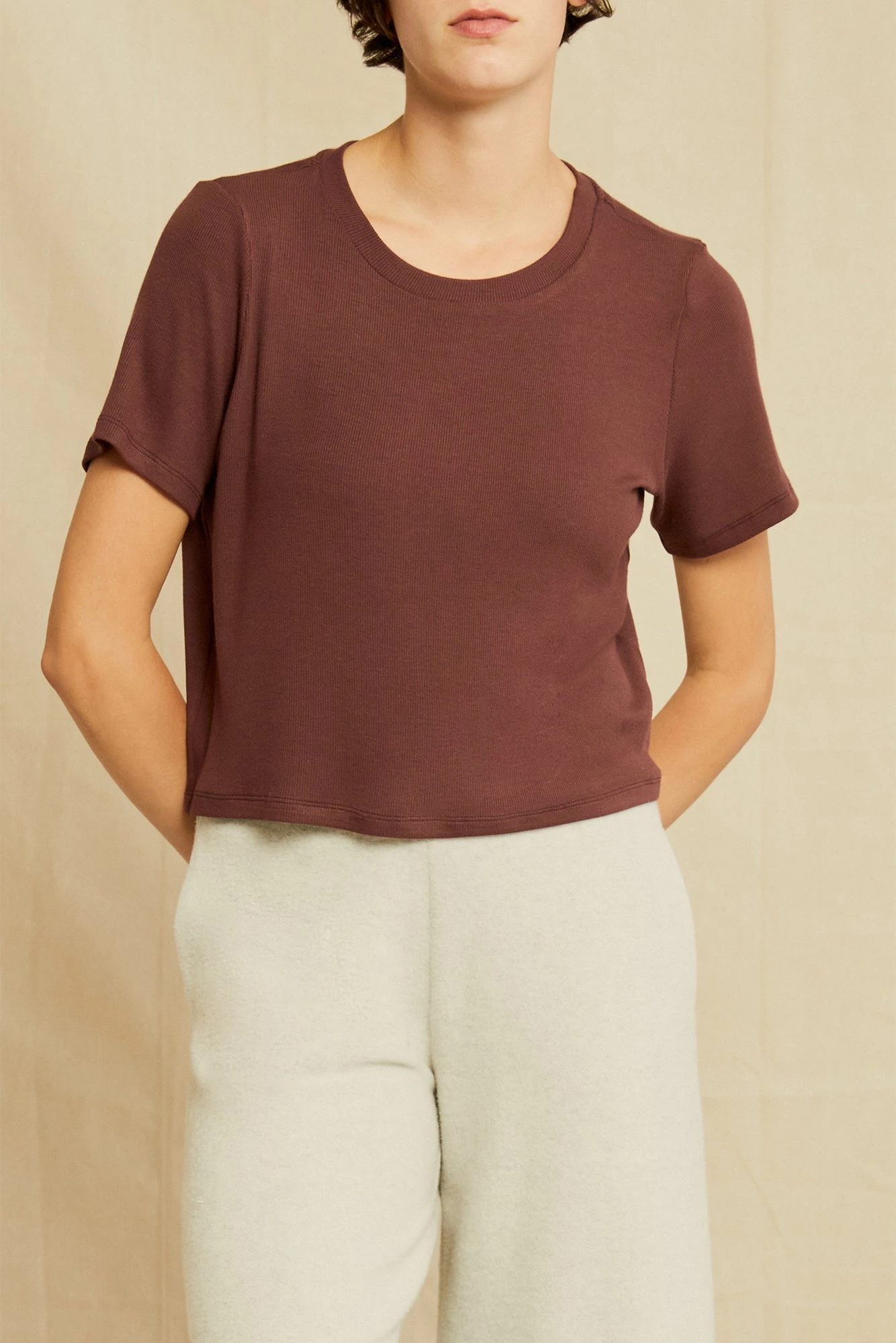 Tara Dream Rib Cropped Tee - Mocha 2 Tara Dream Rib Cropped Tee - Mocha - Image 2