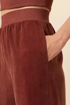 Salice Mixed Cupro Pants - Earth -AGOLDE Shop 0721 Salice Mixed Media Earth 4