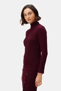 Lux Paris Rib Turtleneck - Plum -AGOLDE Shop 612 Gadot Novelty Plum 2